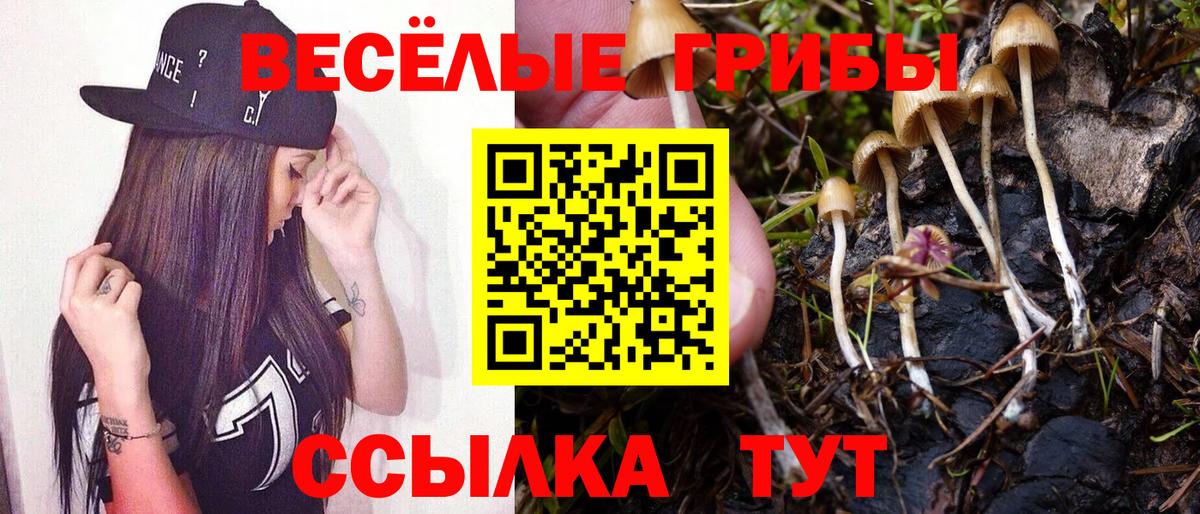 Псилоцибиновые грибы GOLDEN TEACHER Десногорск