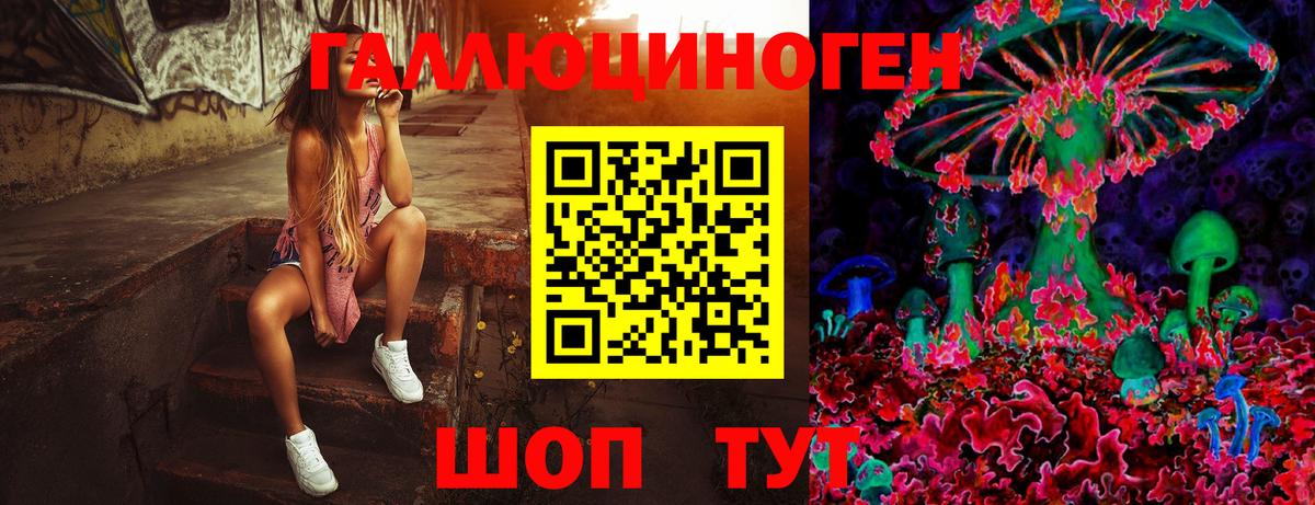 Галлюциногенные грибы MAGIC MUSHROOMS  Псилоцибиновые грибы прущие грибы  Десногорск  цена   Вход с VPN 